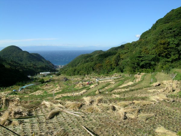 (2233)棚田