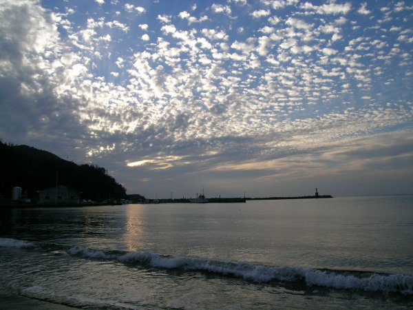 (2261)松崎海岸