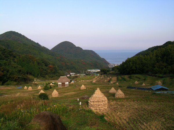 (2262)棚田