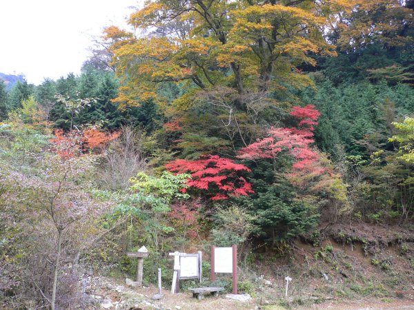 (2274)長九郎山の紅葉
