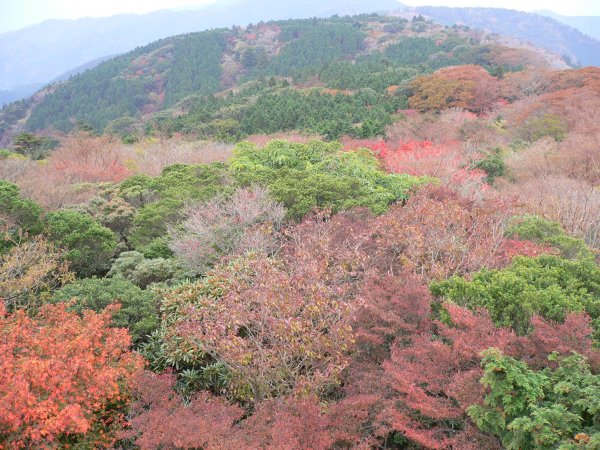 (2275)長九郎山の紅葉
