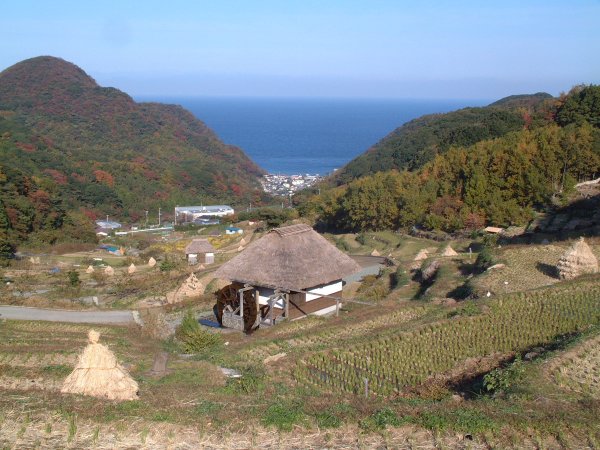 (2287)棚田