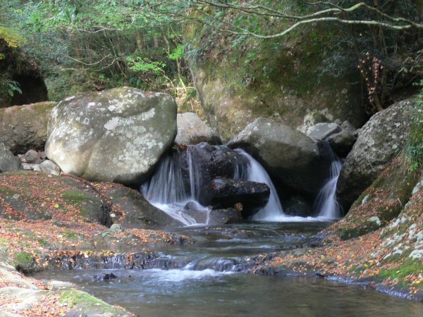 (2294)長九郎山の渓流