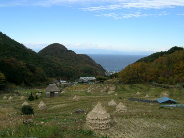 (2300)棚田