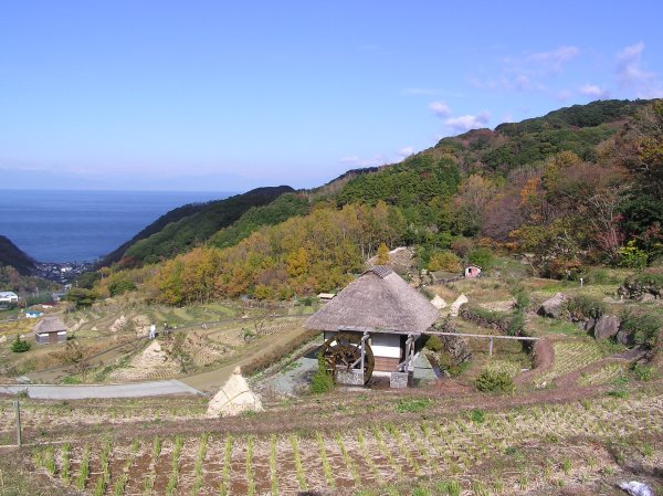 (2301)棚田