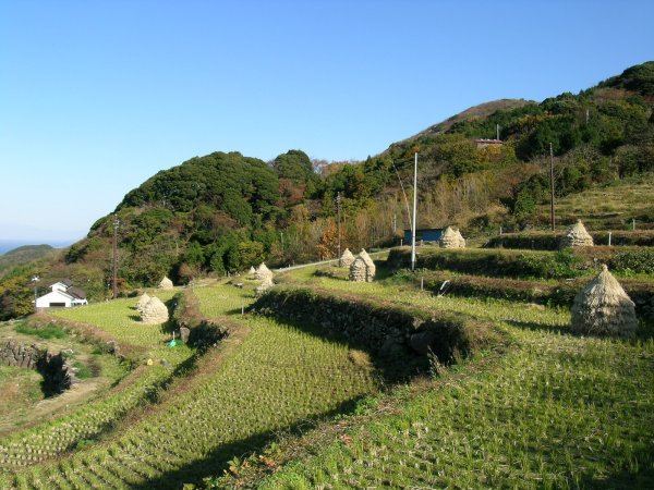 (2307)棚田