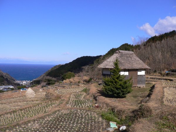 (2334)棚田