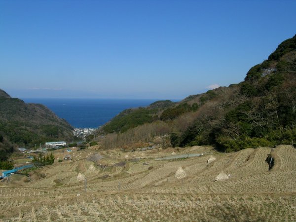 (2348)棚田