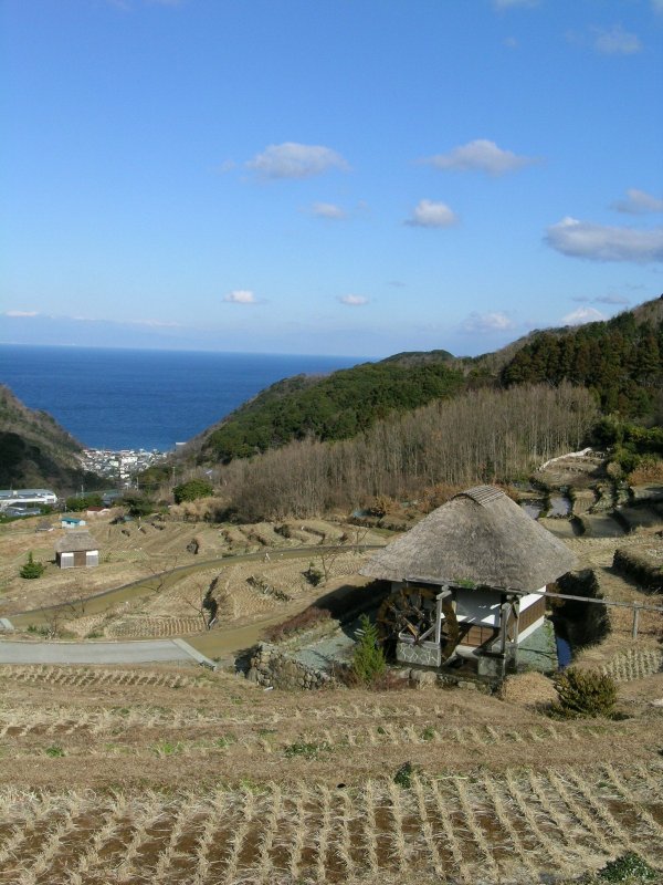 (2349)棚田
