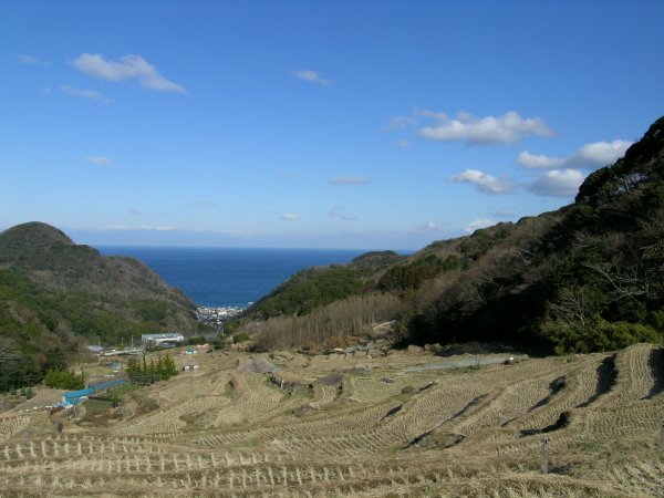 (2350)棚田