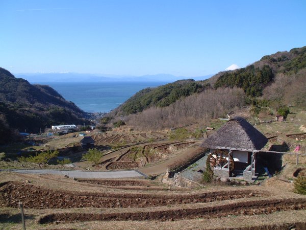 (2375)棚田