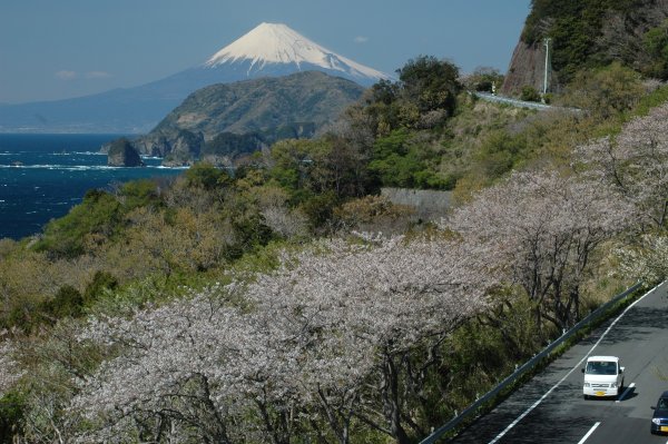 (2425)萩谷からの富士山