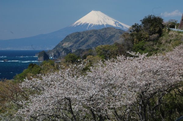 (2426)萩谷からの富士山