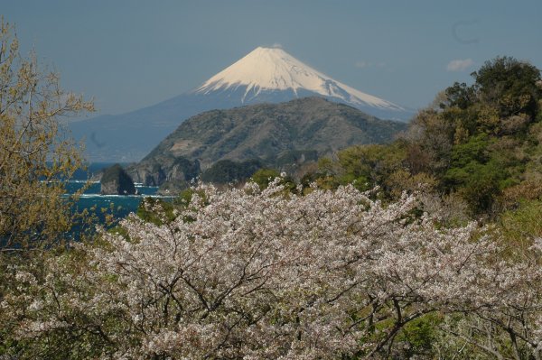 (2427)萩谷からの富士山