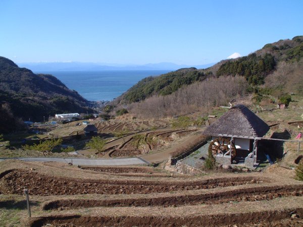 (2430)棚田
