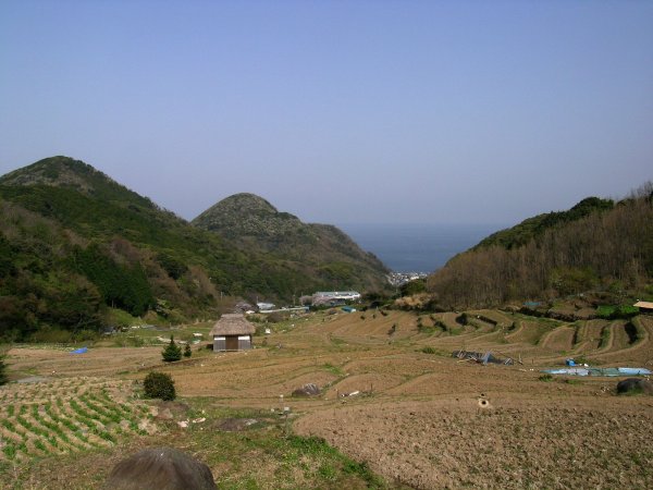 (2432)棚田