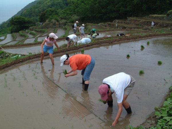 (2470)棚田田植え祭