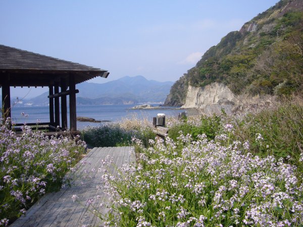 (2671)萩谷海岸
