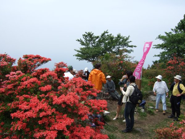 (2677)高通山ツツジまつり