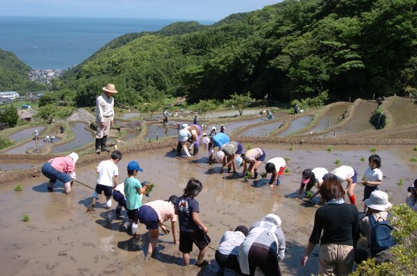 (2679)棚田田植祭