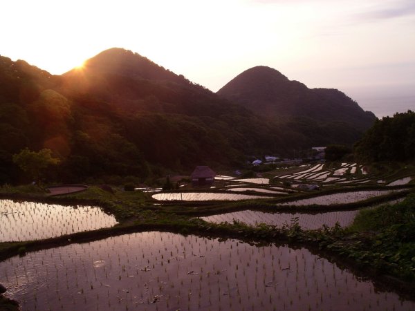(2683)棚田の夕景