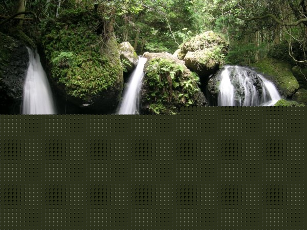 (2688)嵯峨の滝