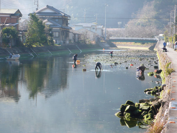 (2739)川のりとり