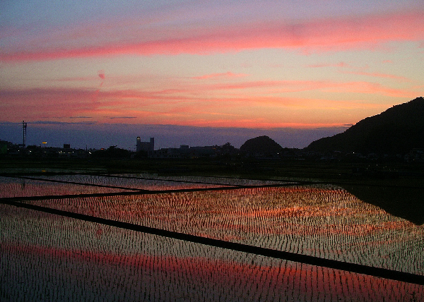 (2746)夕景