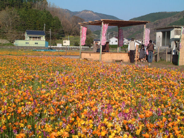 (2749)花畑の足湯
