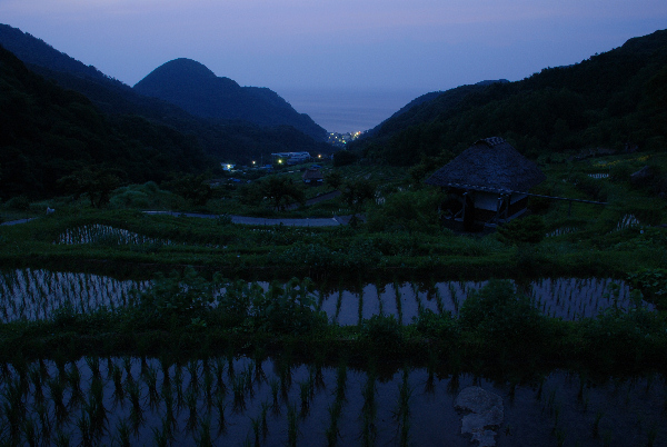 (2759)夜の棚田