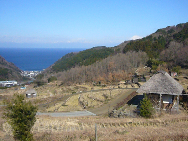 (2779)石部棚田