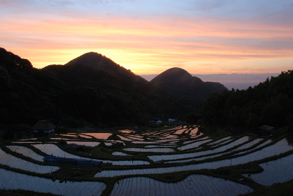 (2791)棚田の夕景
