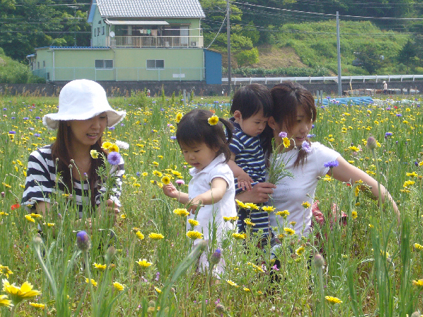 (2793)花摘み