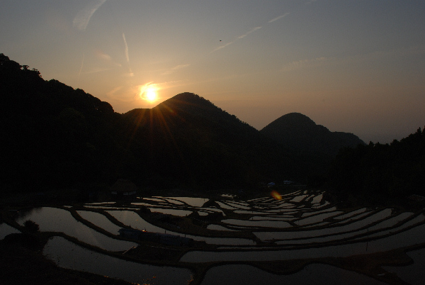 (2807)棚田の夕日