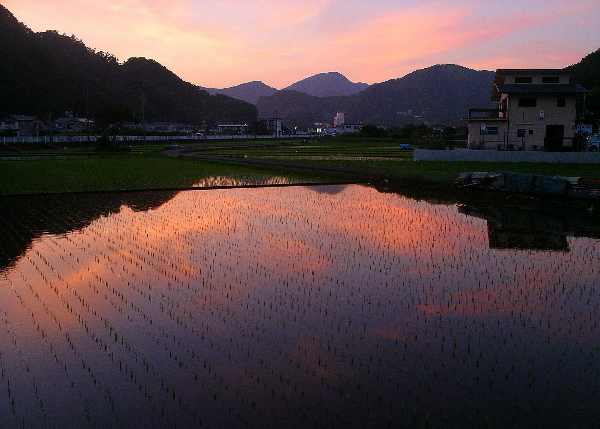 (2810)夕景