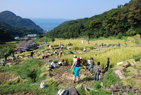 (2865)棚田収穫祭