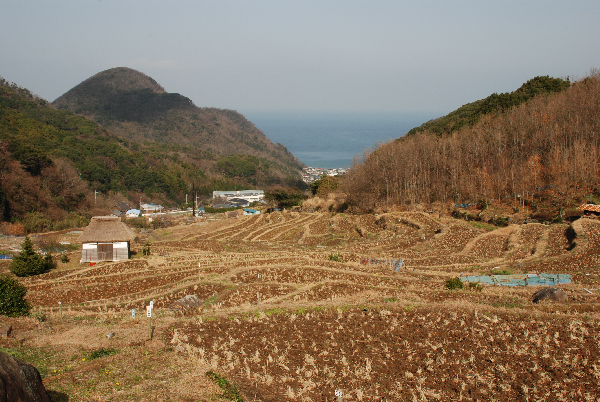 (2900)棚田