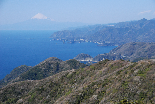 (2914)高通山からの富士山
