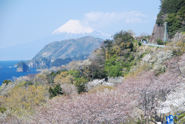 (2915)萩谷からの富士山