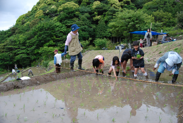 (2936)棚田田植え祭