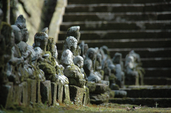 (3052)富貴野山　宝蔵院