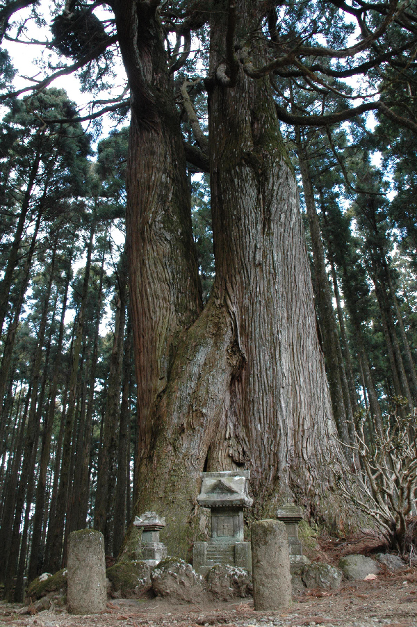 (3053)富貴野山　宝蔵院