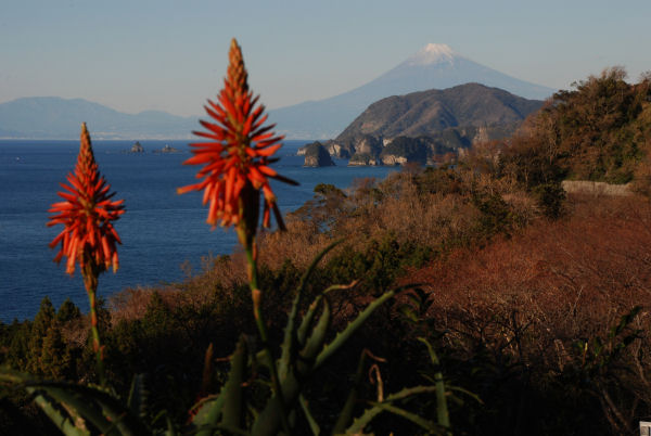 (3061)富士山