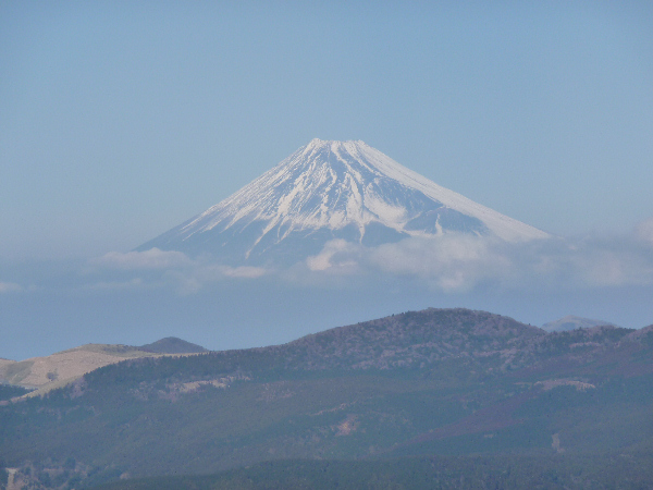 (3077)長九郎山からの富士山