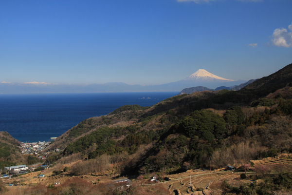 (3267)棚田からの富士山