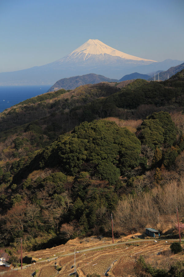 (3268)棚田からの富士山