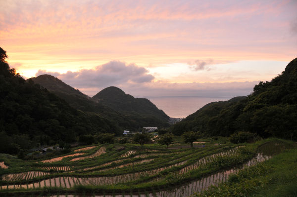 (3312)石部棚田の夕景