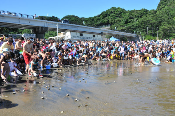 (3324)雲見温泉無料サザエ狩り