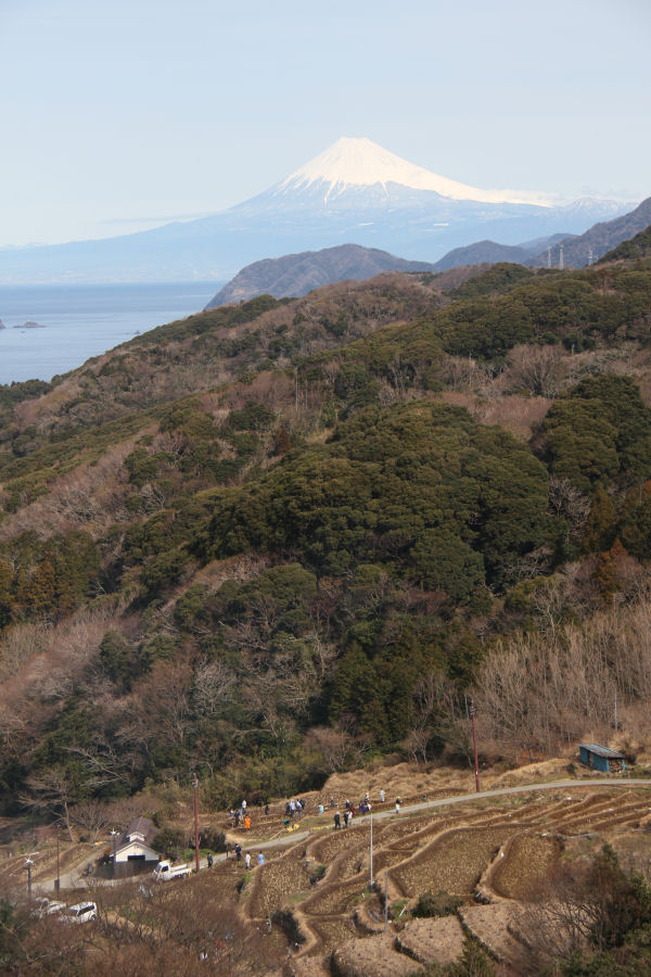 (3375)石部の棚田からの富士山