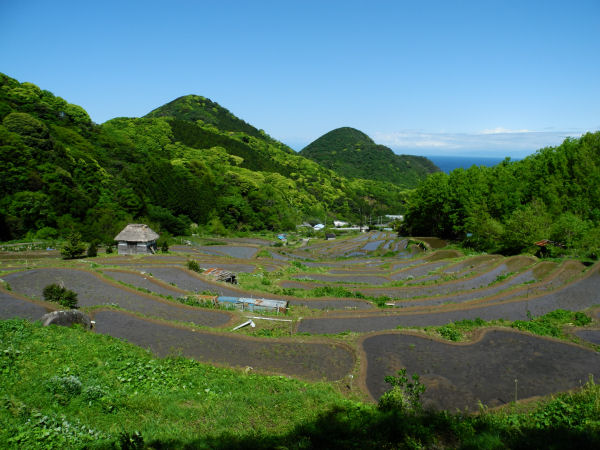 (3395)石部の棚田